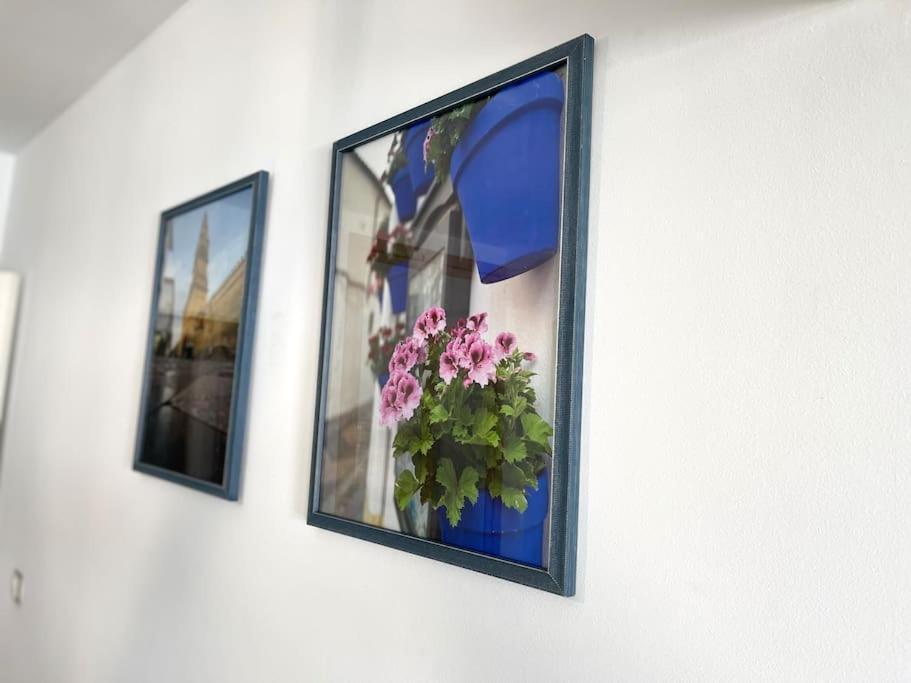Apartamento Centrico Urbano Con Terraza Córdoba Buitenkant foto